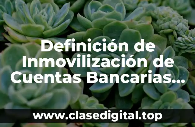 Definición de Inmovilización de Cuentas Bancarias SAT