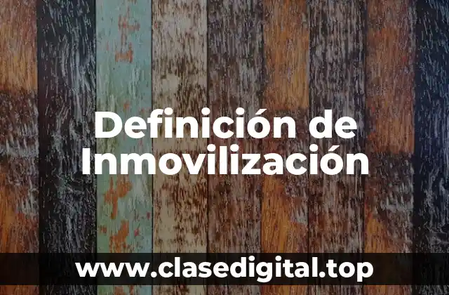 Definición de Inmovilización