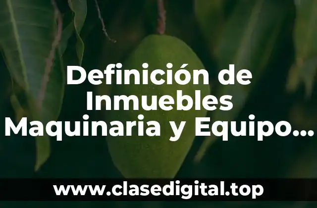 Definición de Inmuebles Maquinaria y Equipo NIF