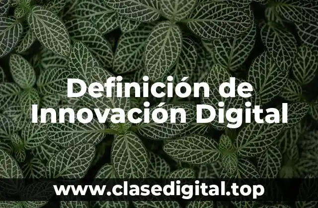 Definición de Innovación Digital