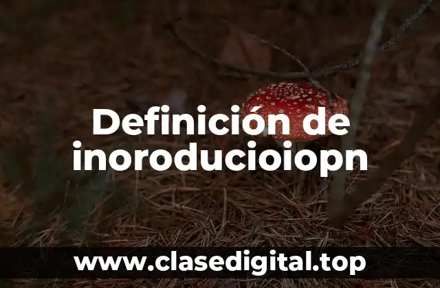 Definición de inoroducioiopn