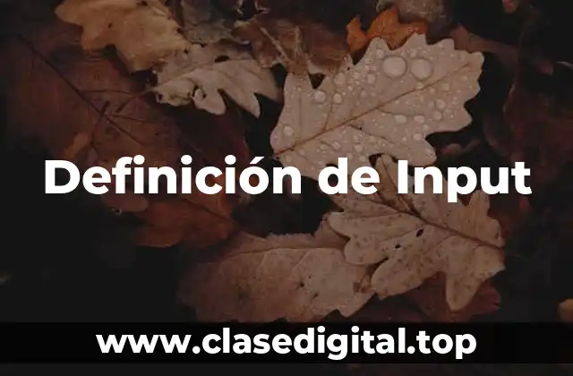 Definición de Input