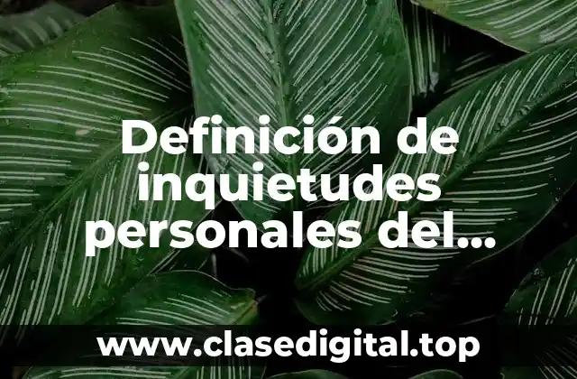 Definición de inquietudes personales del medio