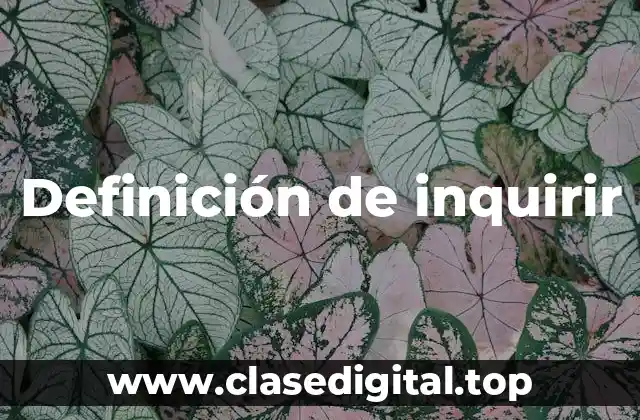 Definición de inquirir