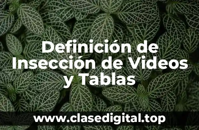 Definición de Insección de Videos y Tablas