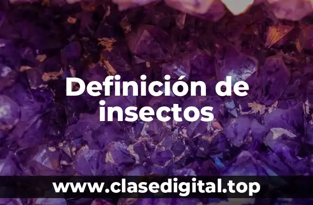 Definición de insectos