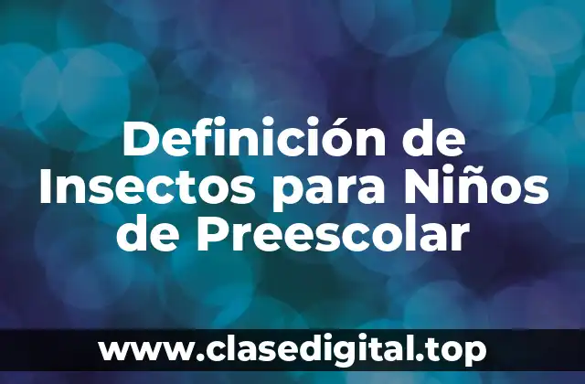 Definición de Insectos para Niños de Preescolar