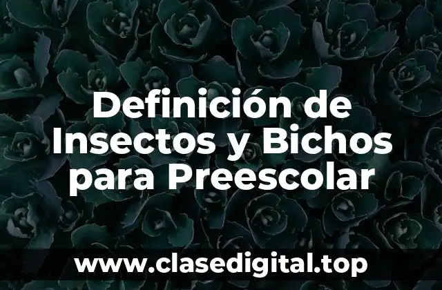 Definición de Insectos y Bichos para Preescolar