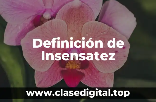 Definición de Insensatez