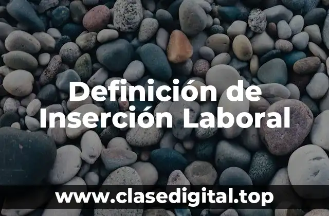 Definición de Inserción Laboral