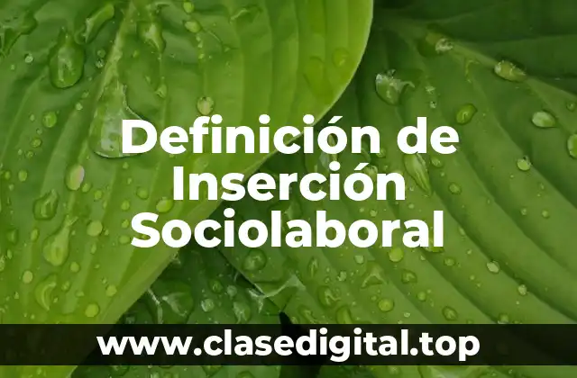 Definición de Inserción Sociolaboral