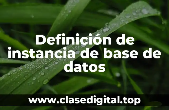 Definición de instancia de base de datos