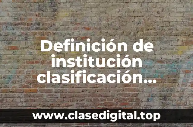 Definición de institución clasificación desarrollo y posicionamiento