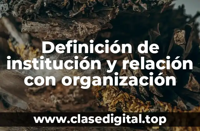 Definición de institución y relación con organización