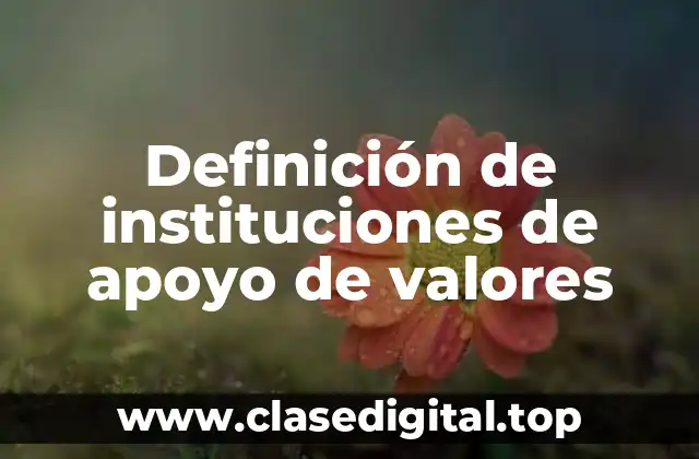 Definición de instituciones de apoyo de valores
