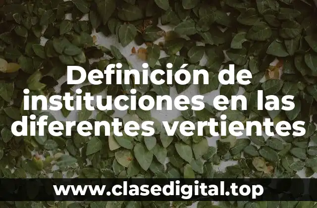 Definición de instituciones en las diferentes vertientes