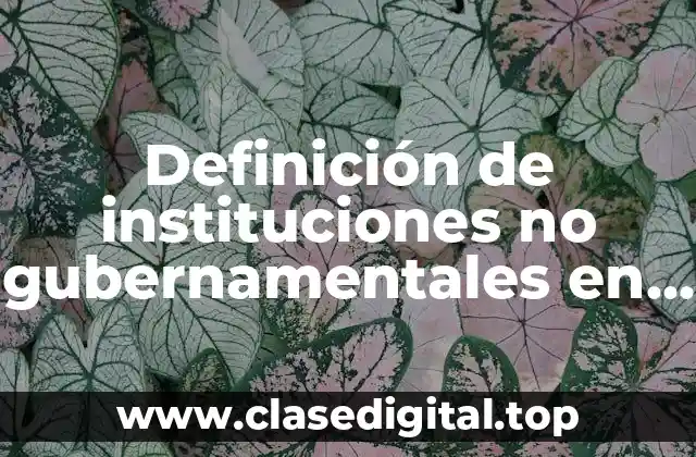Definición de instituciones no gubernamentales en México