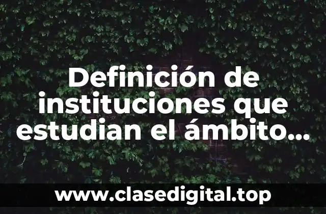 Definición de instituciones que estudian el ámbito social en Matamoros