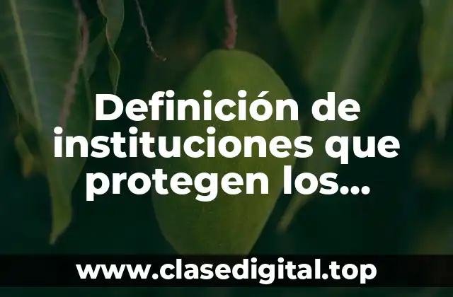 Definición de instituciones que protegen los derechos humanos en Sinaloa