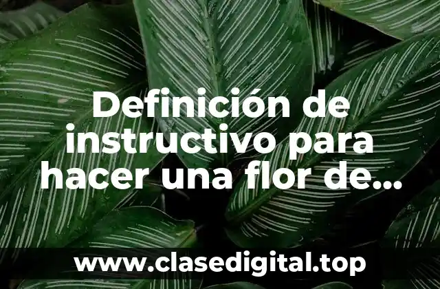 Ejemplos de instructivos para hacer una flor de Navidad