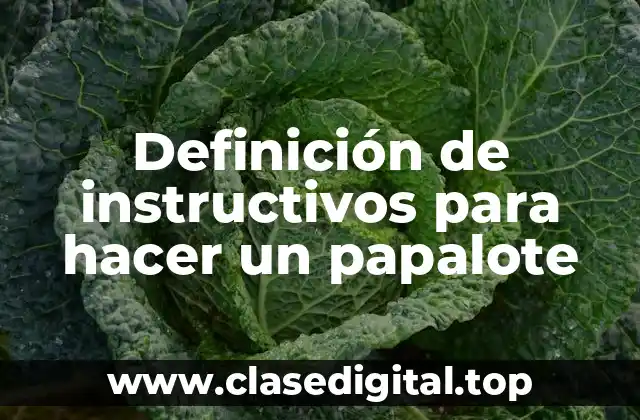 Definición de instructivos para hacer un papalote