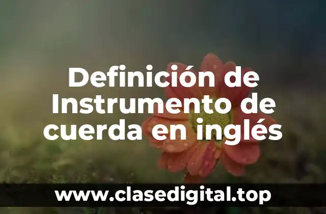 Definición de Instrumento de cuerda en inglés