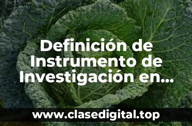 Definición de Instrumento de Investigación en Metodología de la Investigación