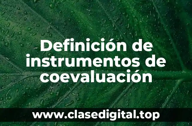 Definición de instrumentos de coevaluación