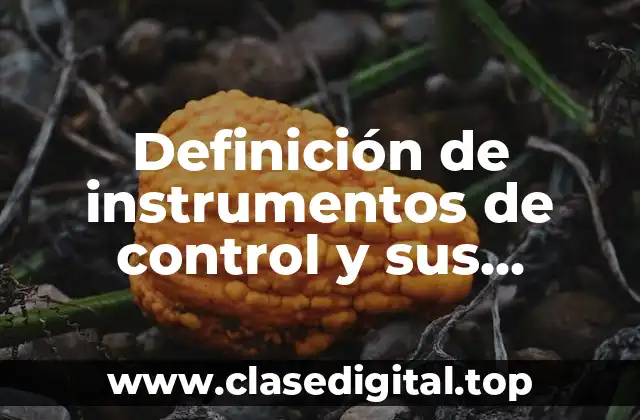 Definición de instrumentos de control y sus elementos