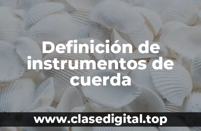 Definición de instrumentos de cuerda