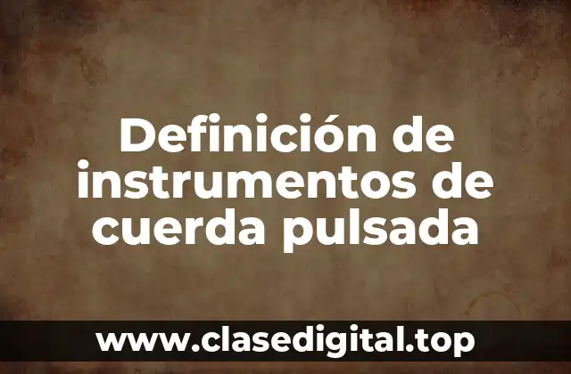 Definición de instrumentos de cuerda pulsada