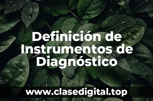 Definición de Instrumentos de Diagnóstico