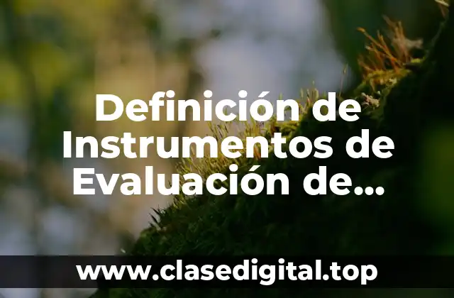Definición técnica de Instrumentos de Evaluación de Necesidades
