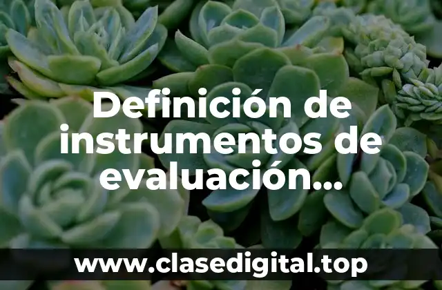 Definición de instrumentos de evaluación diagnóstica