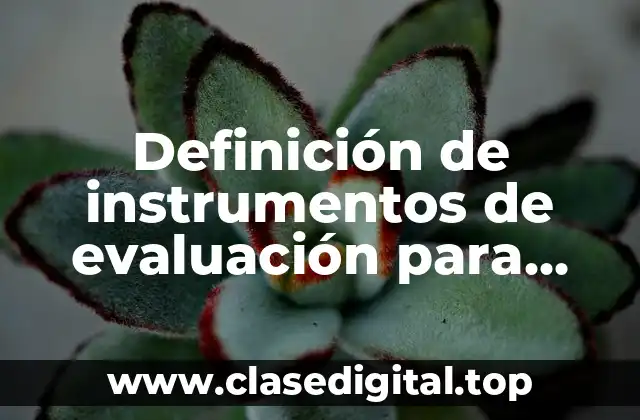 Definición de instrumentos de evaluación para detectar problemas de aprendizaje