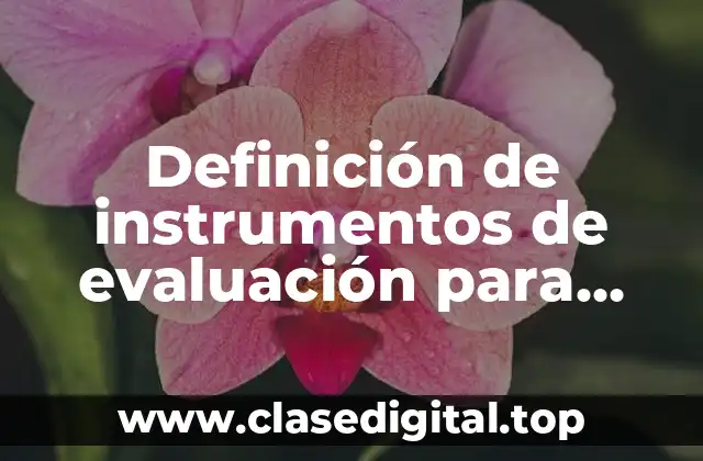 Definición de instrumentos de evaluación para evaluar el sistema educativo
