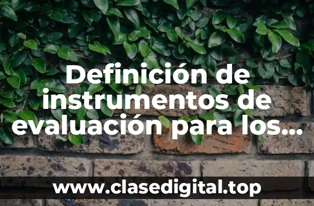 Definición de instrumentos de evaluación para los docentes de desempeño