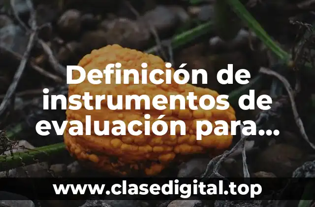 Definición de instrumentos de evaluación para tutoría