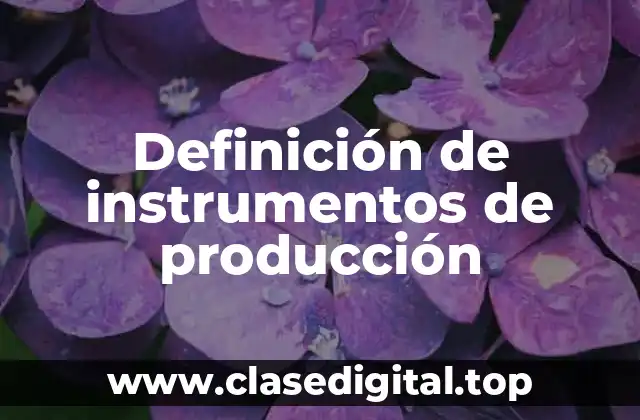 Definición de instrumentos de producción
