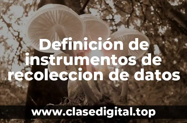 Ejemplos de instrumentos de recolección de datos