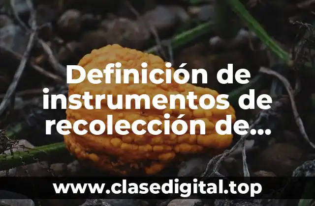 Definición de instrumentos de recolección de información