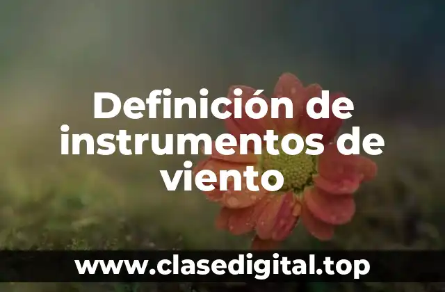Definición de instrumentos de viento