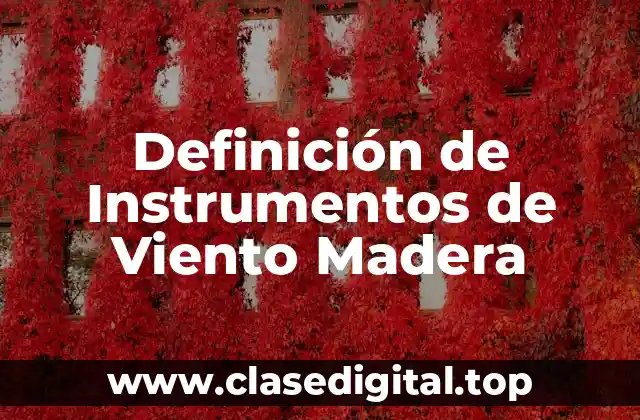Definición de Instrumentos de Viento Madera