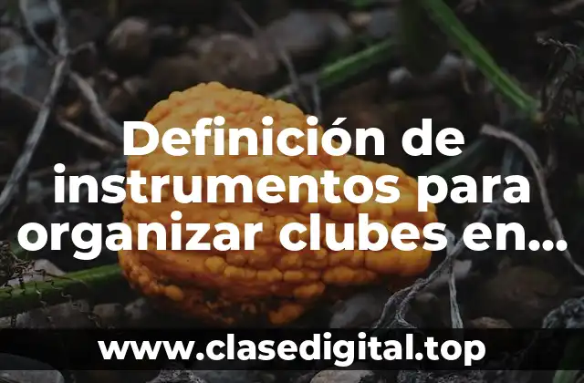 Definición de instrumentos para organizar clubes en educación preescolar