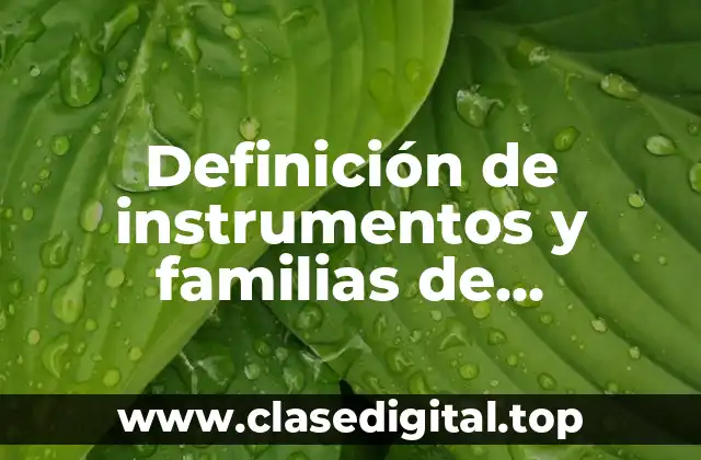 Definición de instrumentos y familias de instrumentales