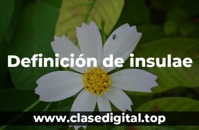 Definición de insulae