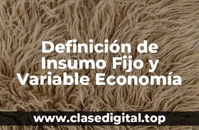 Definición de Insumo Fijo y Variable Economía