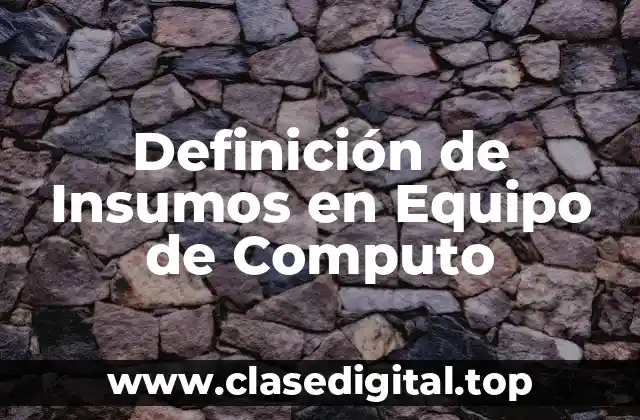 Definición técnica de insumo en equipo de computo