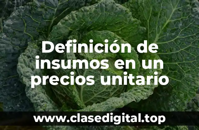 Definición de insumos en un precios unitario