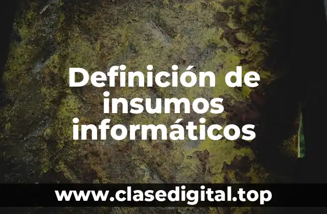 Definición de insumos informáticos